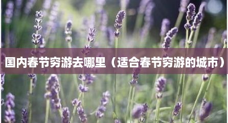国内春节穷游去哪里（适合春节穷游的城市）