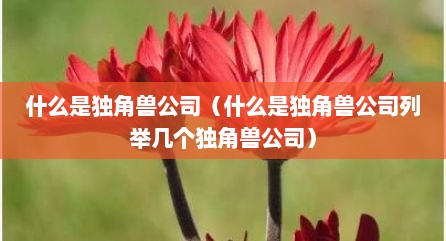 什么是独角兽公司（什么是独角兽公司列举几个独角兽公司）