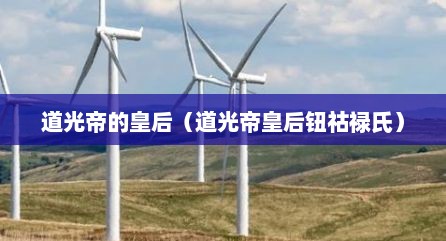道光帝的皇后（道光帝皇后钮祜禄氏）
