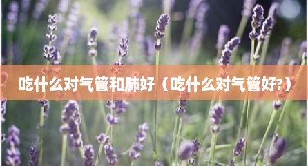 吃什么对气管和肺好（吃什么对气管好?）