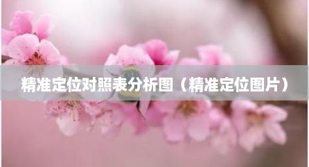 精准定位对照表分析图（精准定位图片）