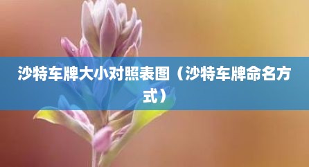 沙特车牌大小对照表图（沙特车牌命名方式）