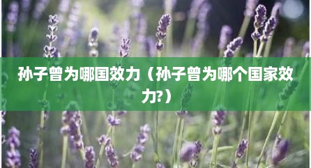 孙子曾为哪国效力（孙子曾为哪个国家效力?）
