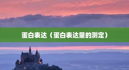 蛋白表达（蛋白表达量的测定）