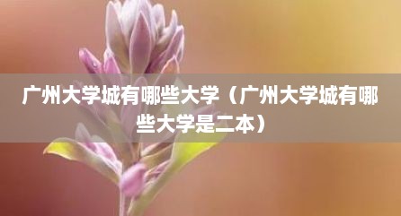 广州大学城有哪些大学（广州大学城有哪些大学是二本）
