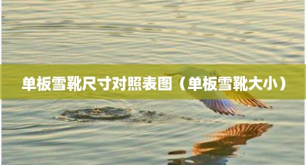 单板雪靴尺寸对照表图（单板雪靴大小）