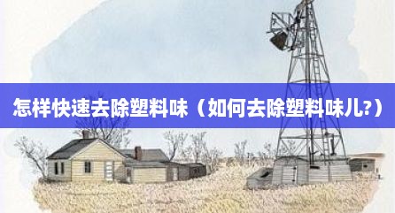 怎样快速去除塑料味（如何去除塑料味儿?）