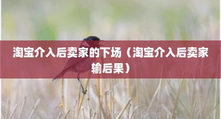 淘宝介入后卖家的下场（淘宝介入后卖家输后果）