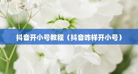 抖音开小号教程（抖音咋样开小号）
