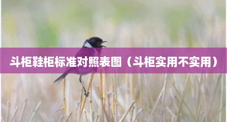 斗柜鞋柜标准对照表图（斗柜实用不实用）