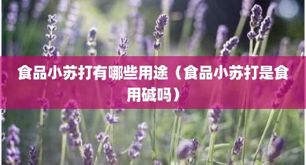 食品小苏打有哪些用途（食品小苏打是食用碱吗）