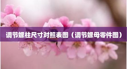 调节螺柱尺寸对照表图（调节螺母零件图）