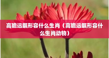 高瞻远瞩形容什么生肖（高瞻远瞩形容什么生肖动物）