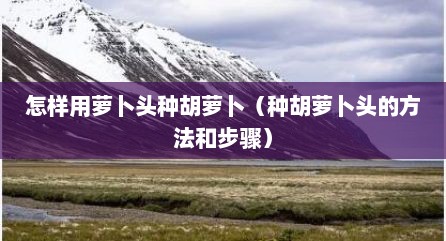 怎样用萝卜头种胡萝卜（种胡萝卜头的方法和步骤）