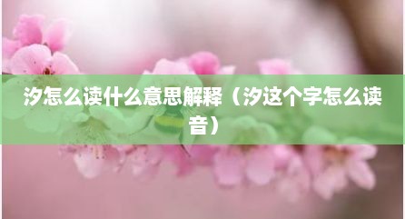 汐怎么读什么意思解释（汐这个字怎么读音）