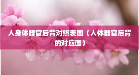 人身体器官后背对照表图（人体器官后背的对应图）
