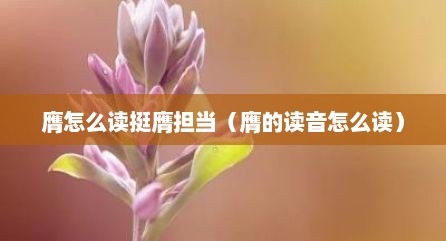 膺怎么读挺膺担当（膺的读音怎么读）