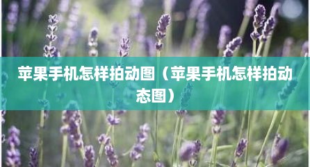 苹果手机怎样拍动图（苹果手机怎样拍动态图）