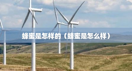 蜂蜜是怎样的（蜂蜜是怎么样）