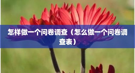 怎样做一个问卷调查（怎么做一个问卷调查表）