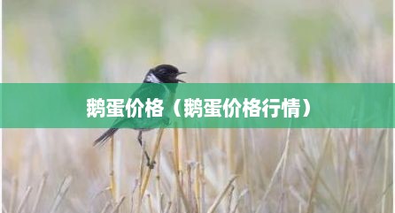 鹅蛋价格（鹅蛋价格行情）