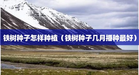 铁树种子怎样种植（铁树种子几月播种最好）