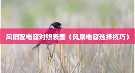 风扇配电容对照表图（风扇电容选择技巧）