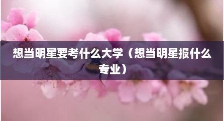 想当明星要考什么大学（想当明星报什么专业）