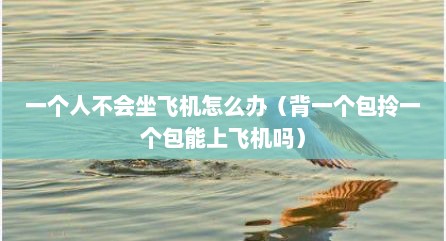 一个人不会坐飞机怎么办（背一个包拎一个包能上飞机吗）