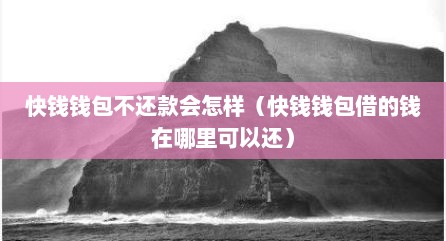 快钱钱包不还款会怎样（快钱钱包借的钱在哪里可以还）