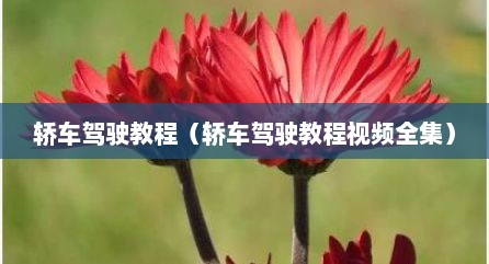 轿车驾驶教程（轿车驾驶教程视频全集）