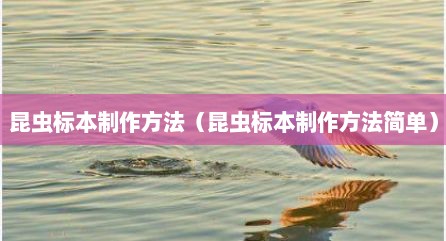 昆虫标本制作方法（昆虫标本制作方法简单）