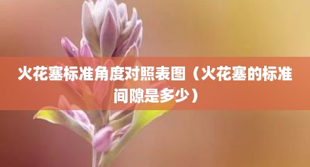 火花塞标准角度对照表图（火花塞的标准间隙是多少）