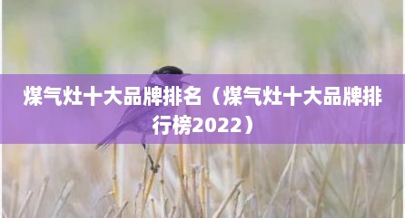 煤气灶十大品牌排名（煤气灶十大品牌排行榜2022）