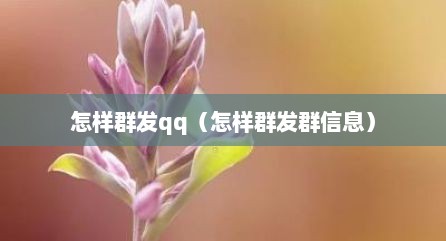 怎样群发qq（怎样群发群信息）