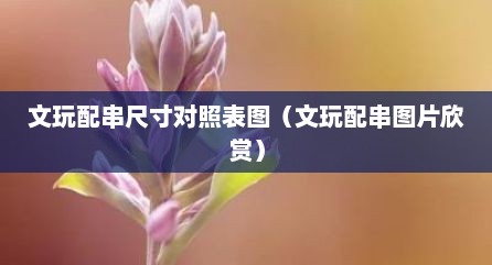文玩配串尺寸对照表图（文玩配串图片欣赏）