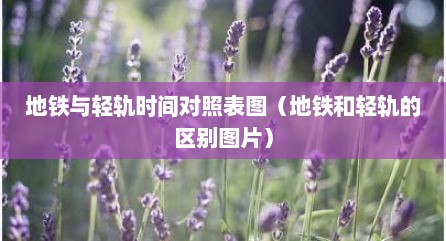 地铁与轻轨时间对照表图（地铁和轻轨的区别图片）