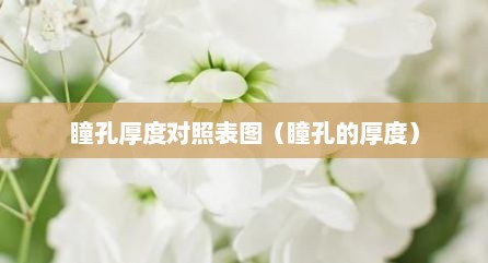 瞳孔厚度对照表图（瞳孔的厚度）
