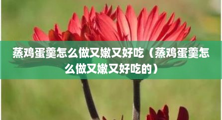 蒸鸡蛋羹怎么做又嫩又好吃（蒸鸡蛋羹怎么做又嫩又好吃的）