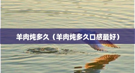 羊肉炖多久（羊肉炖多久口感最好）