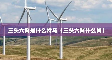 三头六臂是什么特马（三头六臂什么肖）