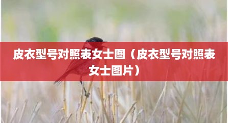 皮衣型号对照表女士图（皮衣型号对照表女士图片）