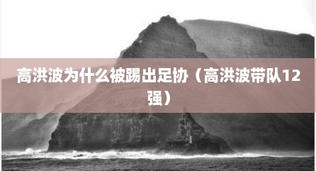 高洪波为什么被踢出足协（高洪波带队12强）