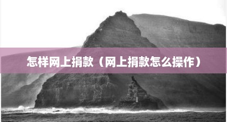 怎样网上捐款（网上捐款怎么操作）