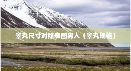 睾丸尺寸对照表图男人（睾丸规格）