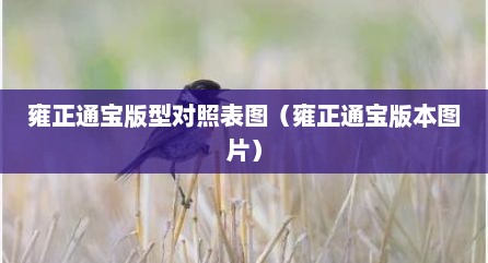 雍正通宝版型对照表图（雍正通宝版本图片）