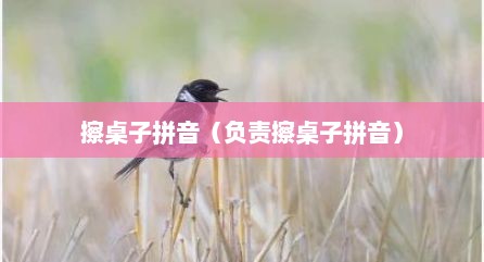 擦桌子拼音（负责擦桌子拼音）