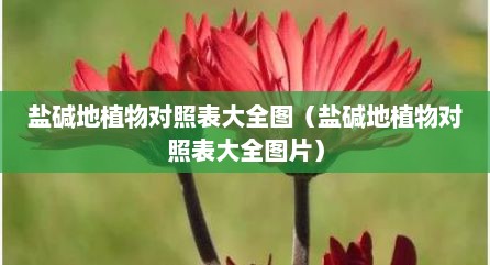盐碱地植物对照表大全图（盐碱地植物对照表大全图片）