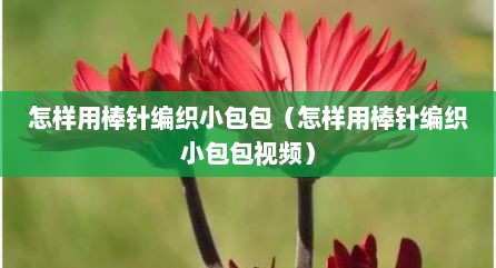 怎样用棒针编织小包包（怎样用棒针编织小包包视频）