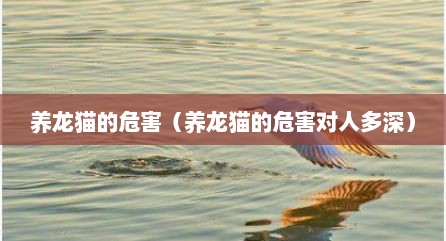 养龙猫的危害（养龙猫的危害对人多深）